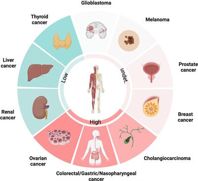 From metabolism to malignancy: the multifaceted role of PGC1α in cancer